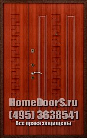 Двойная металлическая дверь в офис "Адель ДВ" фото