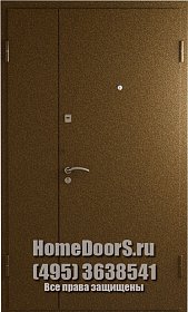 Двойная металлическая дверь "Веста ДВ" фото