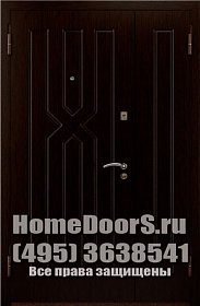 Двойная металлическая дверь "Борнео ДВ" фото