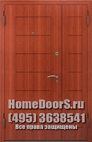 Двойная металлическая дверь "Самет ДВ" фото