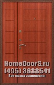 Двойная металлическая дверь в офис "Самет ДВ" фото