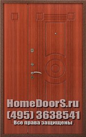 Двойная металлическая дверь в офис "Гера ДВ" фото