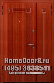 Двойная металлическая дверь в офис "Флорес ДВ" фото