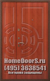 Двойная металлическая дверь "Фиджи ДВ" фото