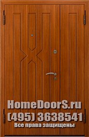 Двойная металлическая дверь "Борнео ДВ"
