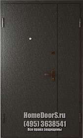 Двойная металлическая дверь с 2х сторон фото