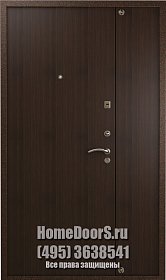 Двойная металлическая дверь "Луиза ДВ" фото