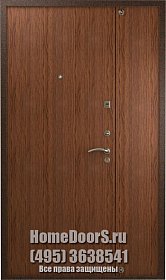 Двойная металлическая дверь в офис "Луиза ДВ" фото