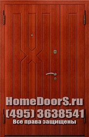 Двойная металлическая дверь &quot;Борнео ДВ&quot; фото