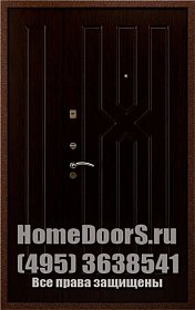 Двойная входная металлическая дверь &quot;Аврора ДВ&quot; фото