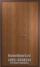 Двойная металлическая дверь &quot;Луиза ДВ&quot; фото