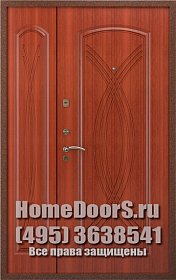 Двойная металлическая дверь &quot;Суматра ДВ&quot; фото