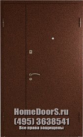 Двойная металлическая дверь в офис &quot;Влада ДВ&quot; фото