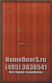 Двойная металлическая дверь в офис "Мадейра ДВ" фото