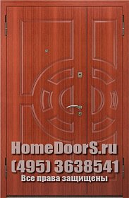 Двойная металлическая дверь "Фиджи ДВ" фото