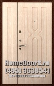 Двойная металлическая дверь "Борнео ДВ" фото