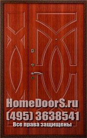 Двойная металлическая дверь "Эдж ДВ"