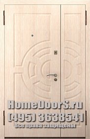 Двойная металлическая дверь &quot;Фиджи ДВ&quot; фото