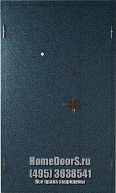 Двойная металлическая дверь в офис с 2х сторон фото