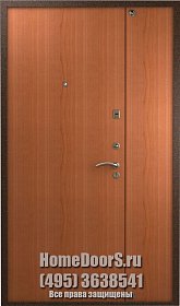 Двойная металлическая дверь в офис "Луиза ДВ" фото