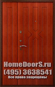 Двойная металлическая дверь &quot;Борнео ДВ&quot;