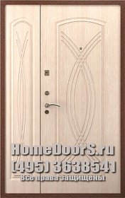 Двойная металлическая дверь в офис &quot;Влада ДВ&quot; фото