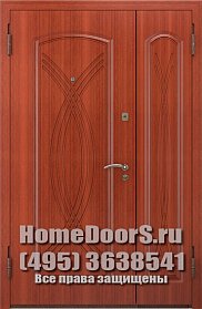 Двойная металлическая дверь "Суматра ДВ" фото